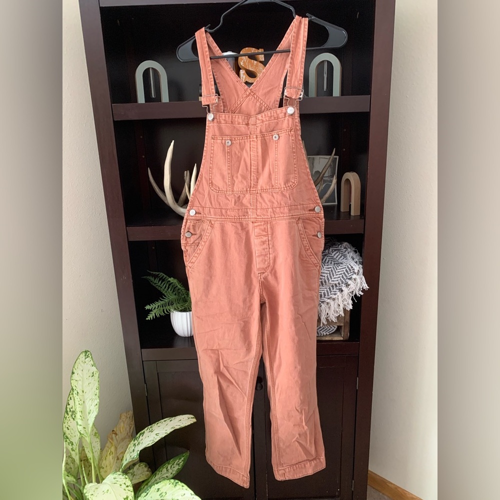 We the Free Rust Overalls 25